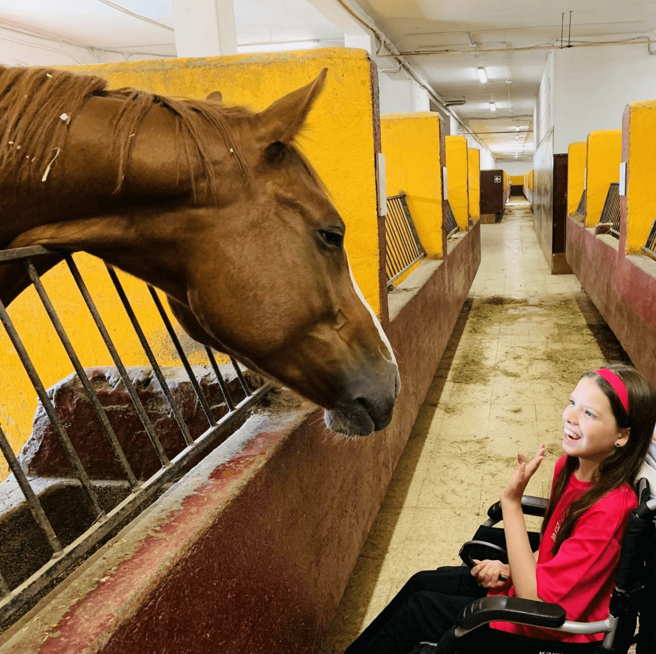 Carolina, sulla sua sedia a rotelle, saluta un cavallo che affaccia la testa nelle scuderie.