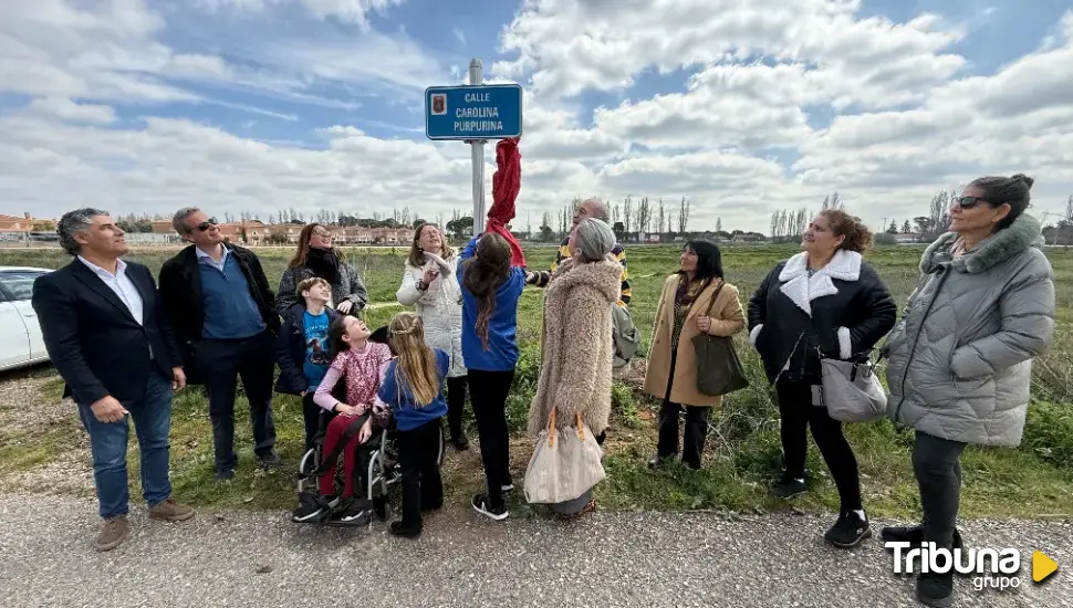 Inaugurazione della targa della via Carolina Purpurina: un gruppo, con una bambina in sedia a rotelle, guarda la targa blu.